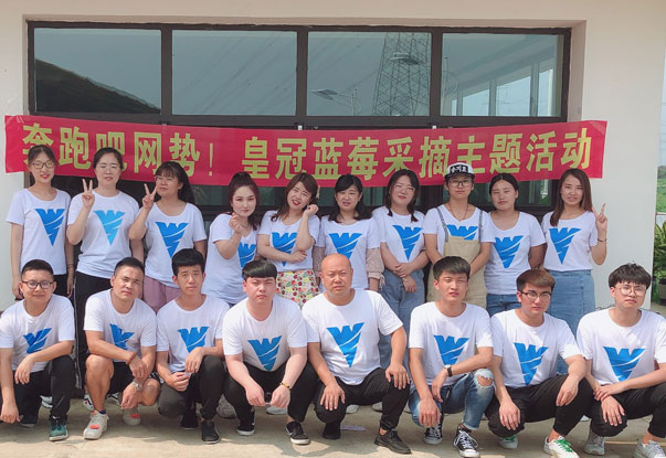 【奔跑吧網勢！】藍莓采摘主題團建活動